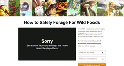 Desktop Screenshot of foraging101.com