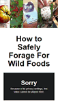 Mobile Screenshot of foraging101.com